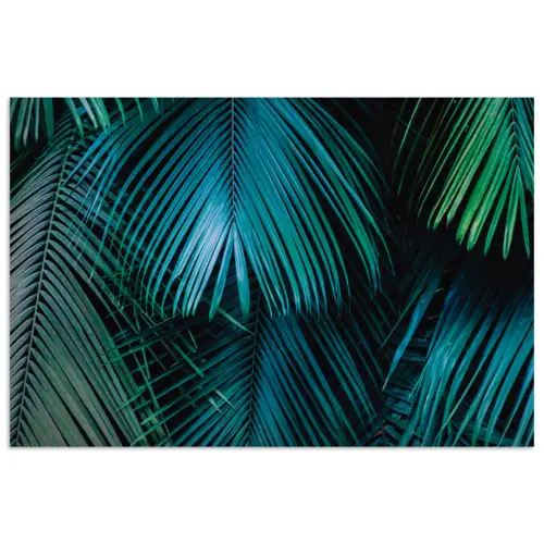 Bladeren - Tropisch - Jungle -  Natuur poster papier klein -3d