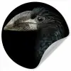 Vogel - Portret - Neushoornvogel - Zwart - Dieren Wandcirkel behangsticker klein -3d