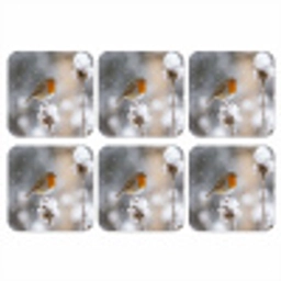 Roodborstje - Gedroogde bloem - Sneeuw - Winter - Vertederend onderzetter kurk middel -3d