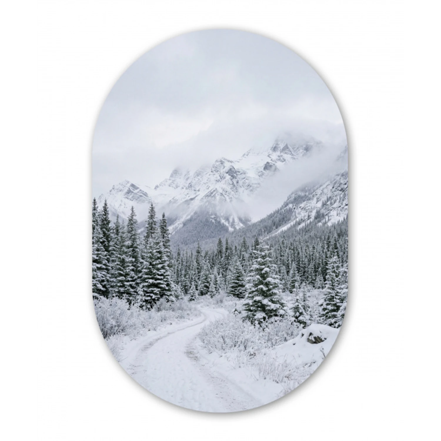 Weg - Bergen - Sneeuw - Naaldbos - Avontuurlijk Wandcirkel Ovaal Aluminium middel -3d