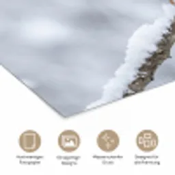 Vogeltje - Sneeuw - Tak - Winter - Zacht poster papier klein -tcloseup_DE