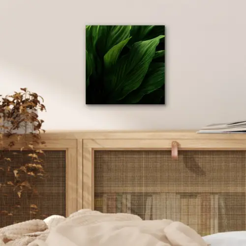 Bladeren - Schaduw - Groen - Textuur aluminium wit klein -sfeer3