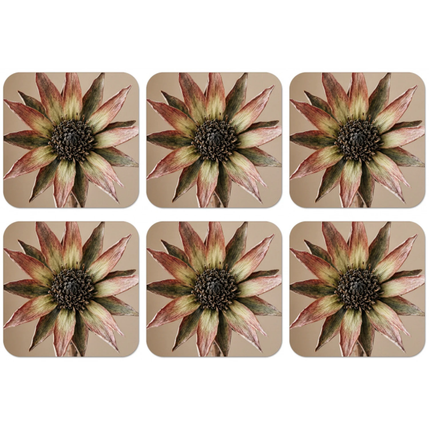 Droogbloem - Protea - Vintage - Beige - Rustiek onderzetter kurk middel -zkaufland3dotto