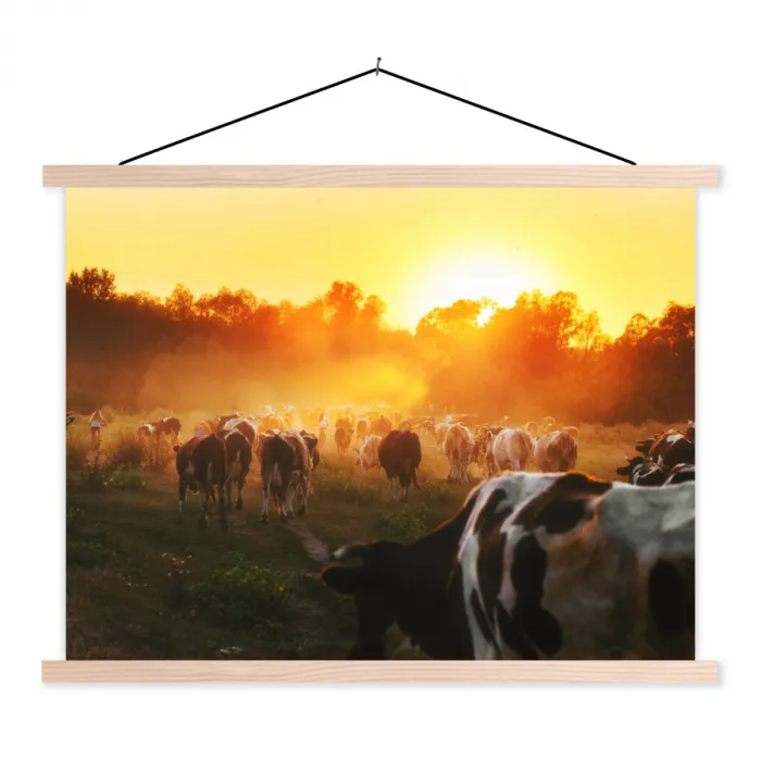 Koeien - Zonsondergang - Weiland - Dieren textielposter latten blank klein -3d