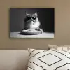 Langharige kat - Zonnebril - Spaghetti - Humor - Zwart - wit canvas 2cm klein -sfeer3