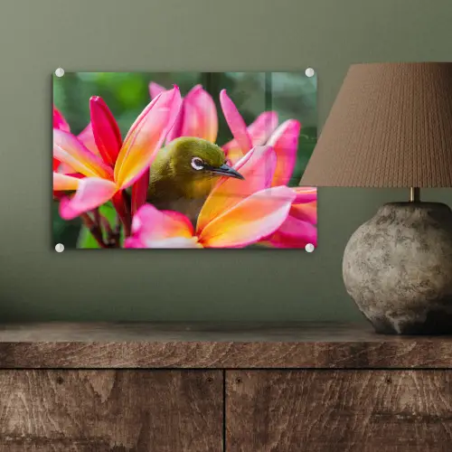 Tropische vogel tussen roze bloem plexiglas 5mm klein -sfeer3