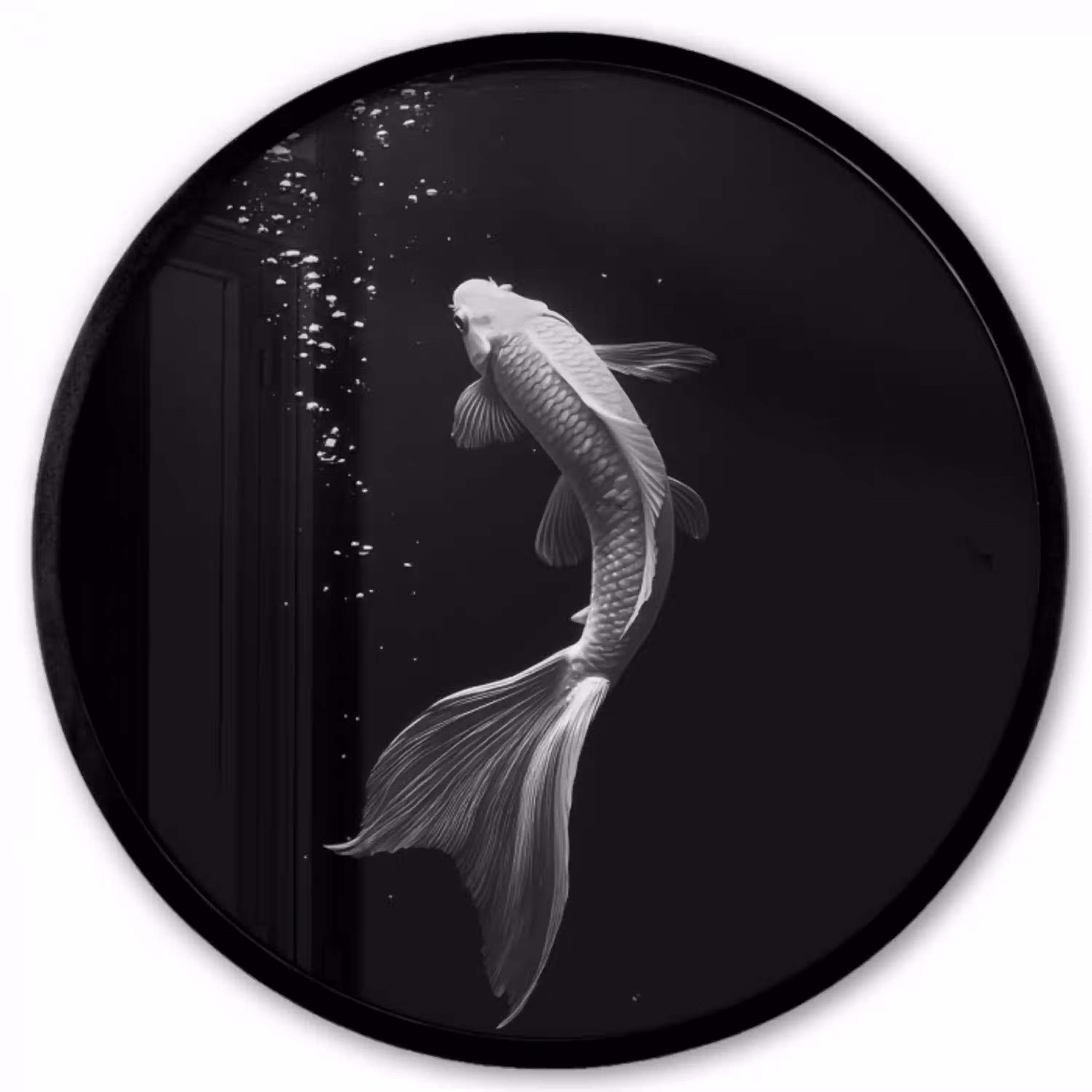 Koi - Vis - Wit - Zwart Fotolijst rond zonder passe partout klein -3d