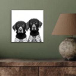 Honden - Bivakmuts - Zwart - wit aluminium wit klein -sfeer2