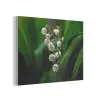 Bloemen - Wit - Bladeren - Lelietjes PET vilt klein -3d