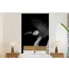 Kraanvogel - Zwart - Wit - Vogel - Dieren fotobehang vinyl groot -bed