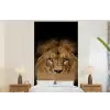Leeuw - Portret - Zwart - Dieren fotobehang vinyl groot -bed