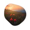 Bloemenveld - Gras - Bloemen - Planten - Zonsondergang - Oranje Wandcirkel Organisch Forex 3mm klein -3d