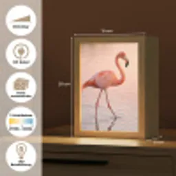 Flamingo - Water - Roze Light Box met kabel (Kinderlampje) klein -USP_websiteoverzichtDE