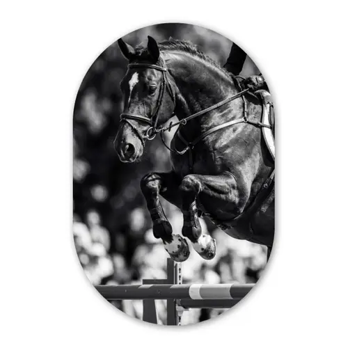 Springen - Paard - Zwart - Wit Wandcirkel Ovaal Forex klein -3d