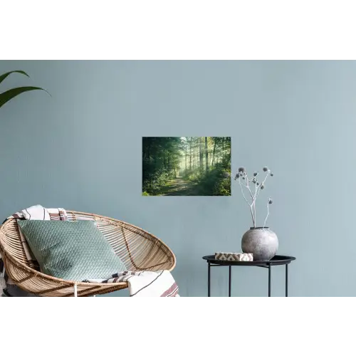 Bos - Pad - Zon - Bomen - Groen - Natuur Muursticker klein -plant