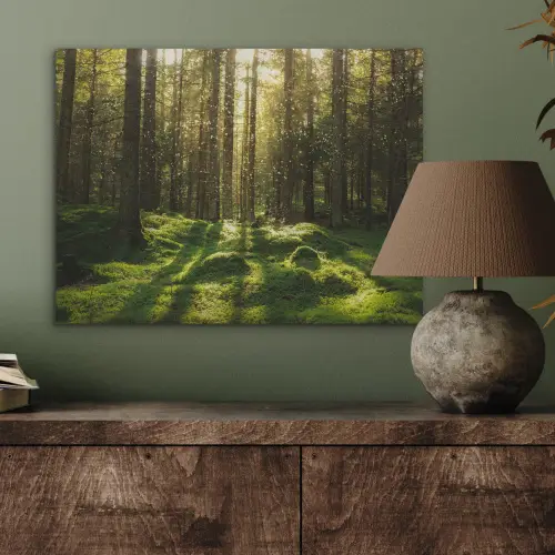 Bomen - Bos - Mos - Planten - Zon - Natuur PET vilt klein -sfeer2