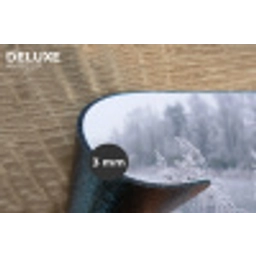Riet - Bevroren - Winter - Natuur Placemat vinyl groot -closeup