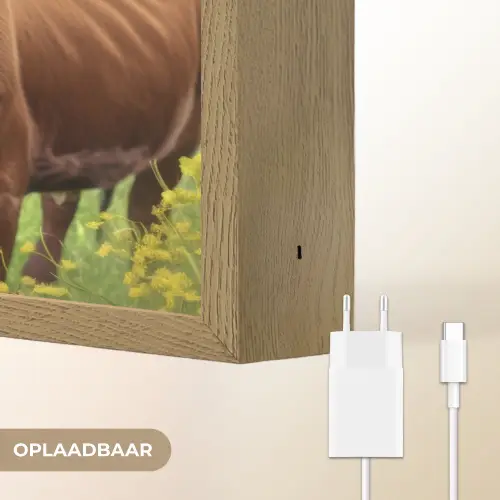 Koe - Weide - Bloemen Light Box met batterij (Wandlamp) middel -USP_websiteoplaadbaarNL