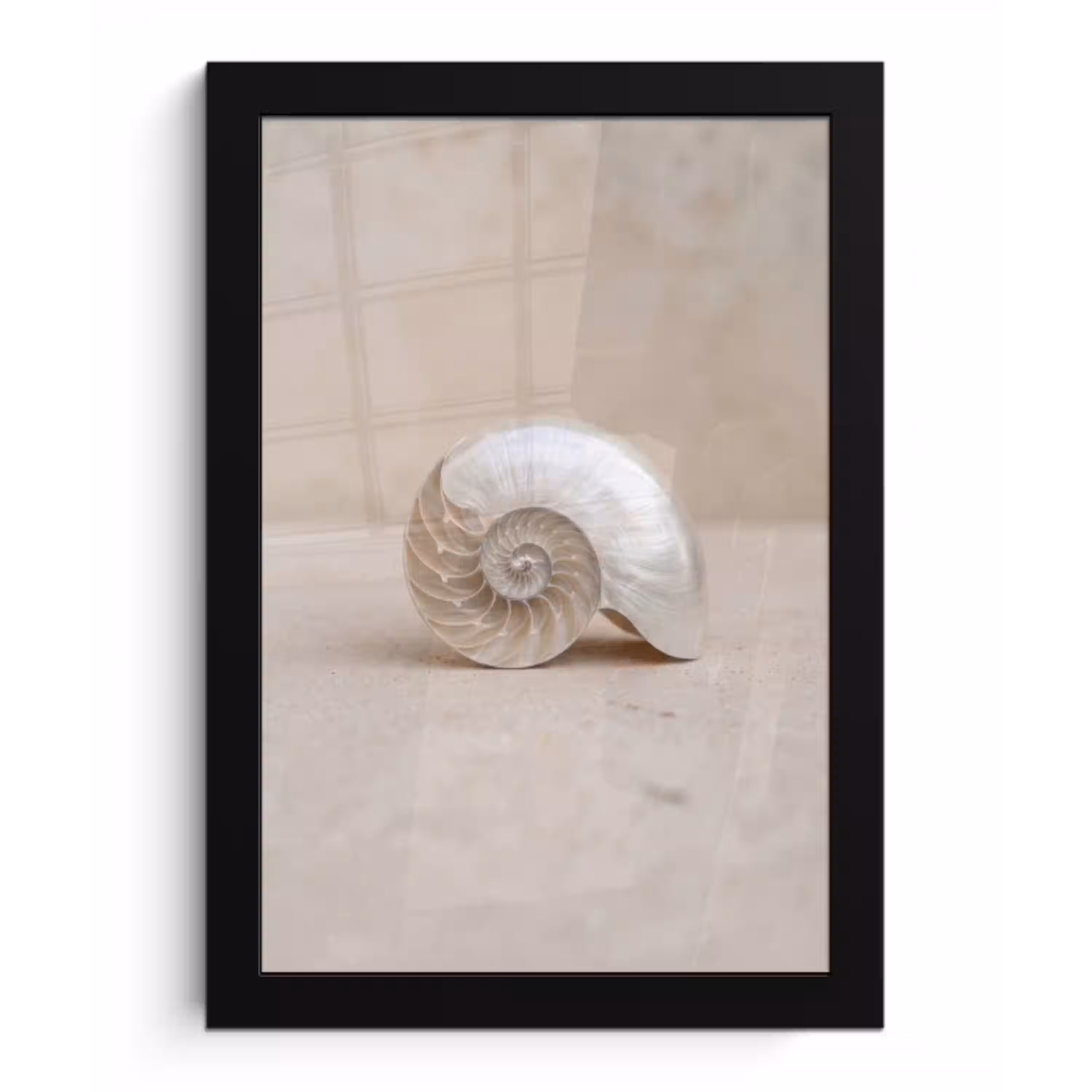 Schelp - Spiraal - Beige fotolijst zwart zonder passe partout klein -3d