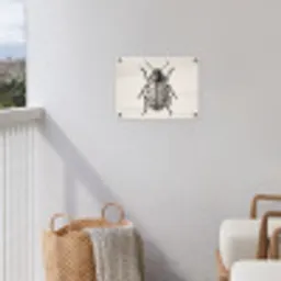 Kever - Insect - Vintage tuinposter los doek klein -sfeer8