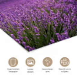Lavendel - Veld - Natuur - Paars poster papier klein -closeup_NL