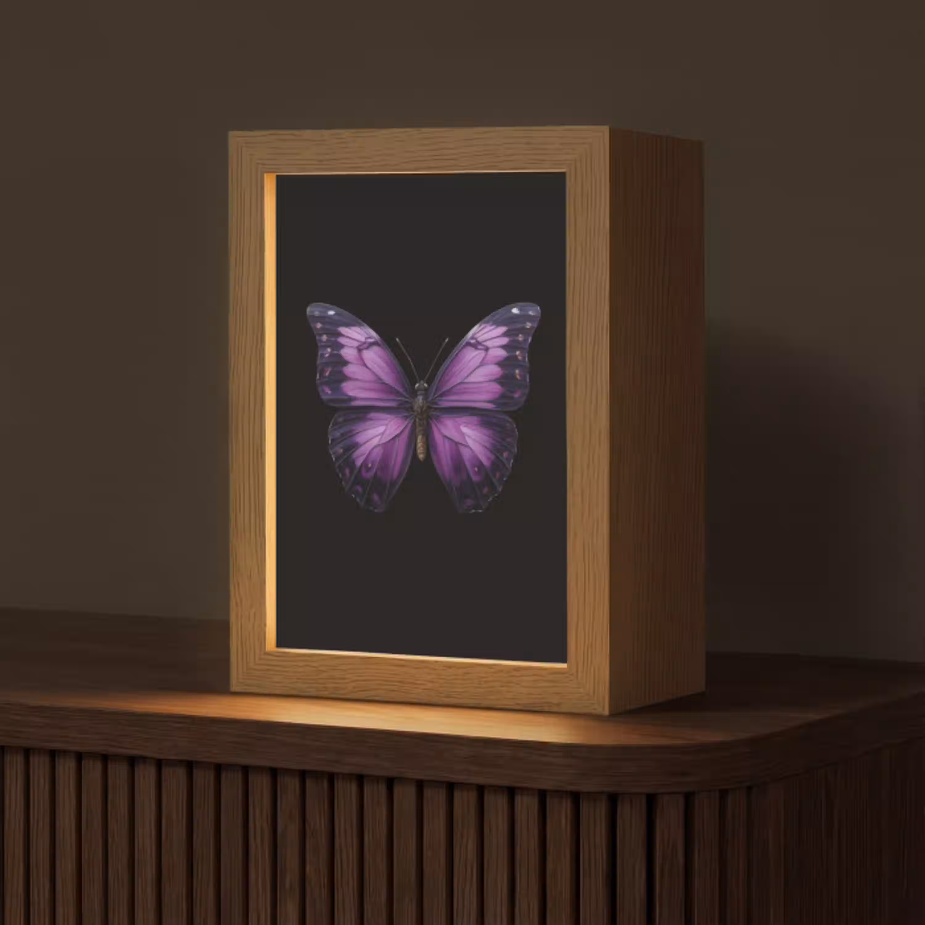 Vlinder - Paars - Levendig Light Box met kabel (Tafellamp) klein -z3d_website