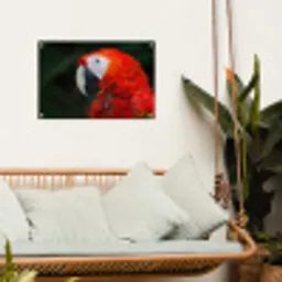 Dieren - Vogel - Papegaai tuinposter los doek klein -sfeer7