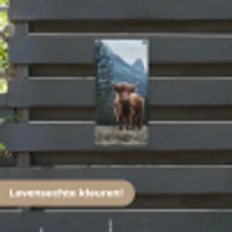 Hooglander voor Bergen tuinposter los doek klein -sfeer3