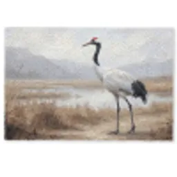 Kraanvogel - Natuur - Realistisch Deurmat klein -zkaufland3d