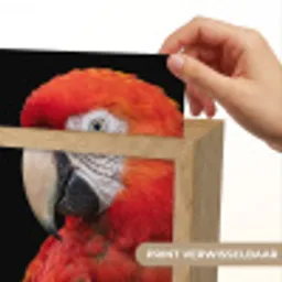 Ara - Portret - Rood Light Box met kabel (Kinderlampje) klein -USP_websiteprintNL