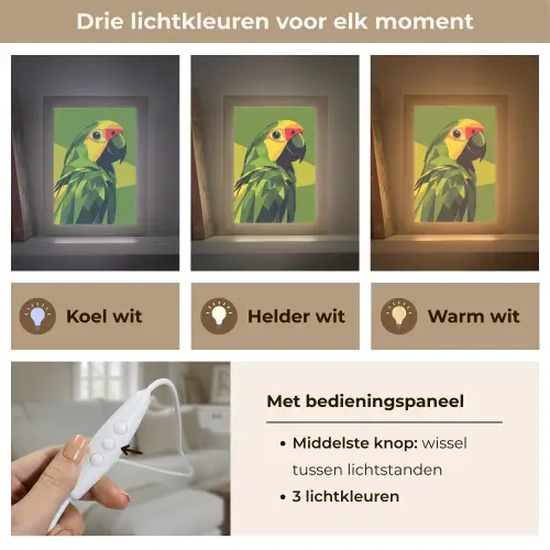 Papegaai - Groen - Snavel - Abstract Light Box met kabel (Tafellamp) klein -USP_lichtkleurNL