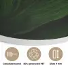 Bladeren - Schaduw - Groen - Textuur Akoestische PET Vilt - Rond klein -closeup_NL