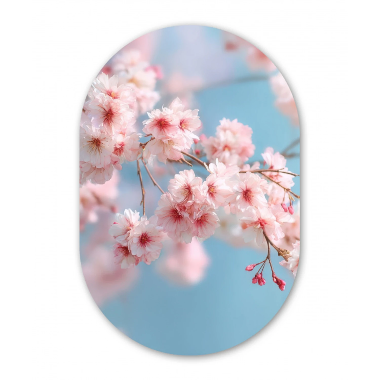 Takken - Bloesems - Roze Wandcirkel Ovaal Glas middel -3d