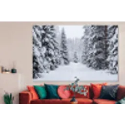 Bos - Winter - Sneeuw - Pad - Natuur forex 5mm xxl -woonkamer