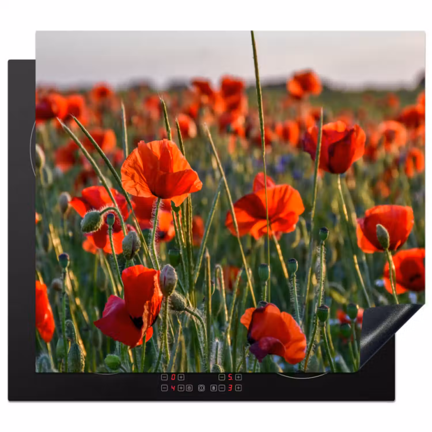 Inductie beschermer - Klaprozen bij Zonsondergang