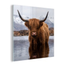 Schotse hooglander - Bruin - Water plexiglas 5mm klein -z3d
