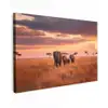Groep olifanten - Open vlakte - Zon canvas 2cm klein -z3d