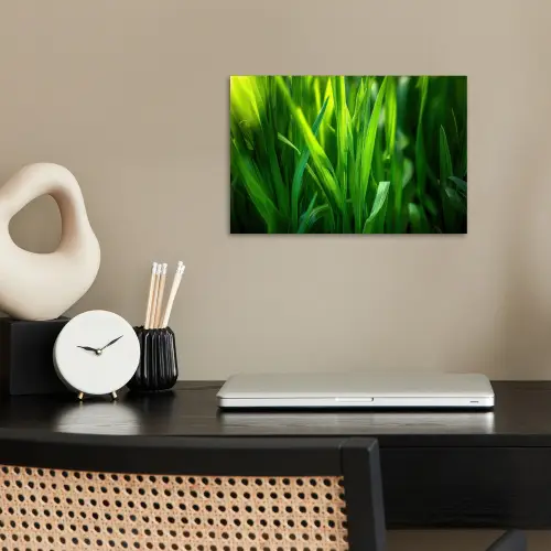 Grassprieten - Lichtinval - Groen poster papier klein -sfeer1