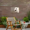 Uil - Bruin - Wit Tuinposter op houten frame 2 cm dik klein -sfeer3