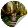 Jungle - Natuur - Trap - Bomen Wandcirkel behangsticker klein -3d