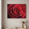 Rood - Roos - Romantisch Textielframe zwart klein -sfeer2