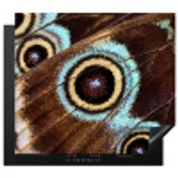 Vleugels - Vlinder - Blauw Inductie beschermer vinyl 3mm middel -3d