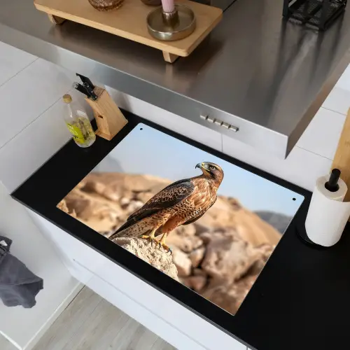 Valk - Vogel - Rots - Macht Inductie beschemer met haakjes klein -sfeer1