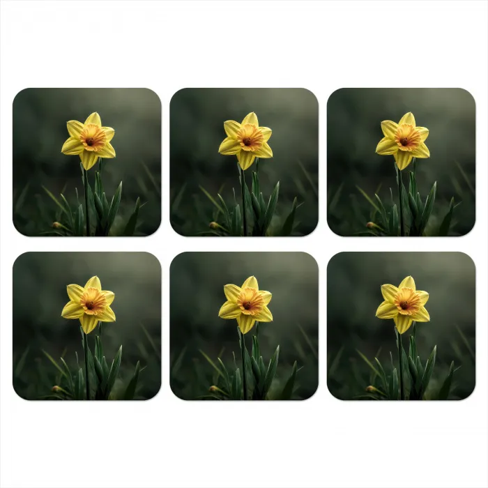 Bloem - Narcis - Gras - Geel onderzetter kurk middel -3d
