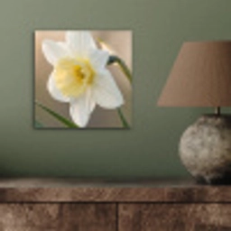 Narcis - Bloem - Minimalistisch aluminium wit klein -sfeer2