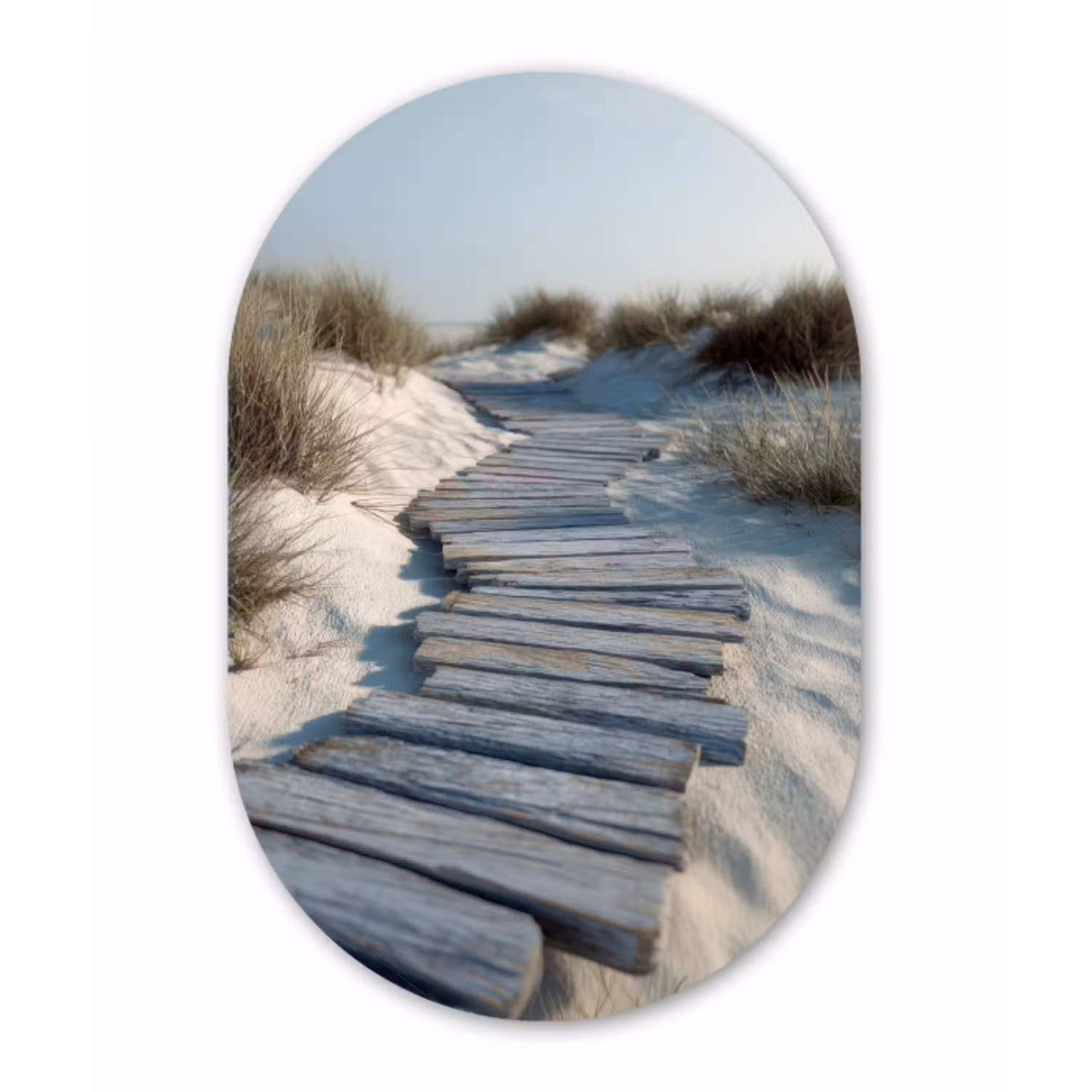 Pad - Planken - Duinen - Gras Wandcirkel Ovaal Aluminium middel -3d