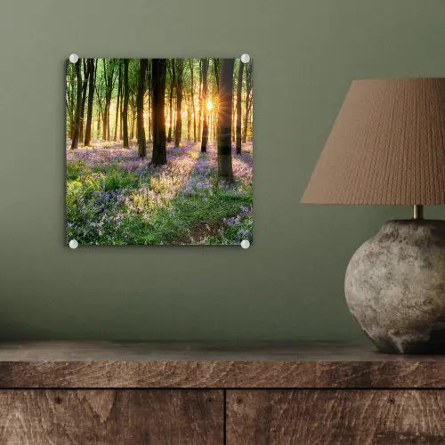 Bos - Bloemen - Lavendel - Zon - Paars - Natuur plexiglas 5mm klein -sfeer3
