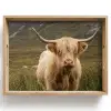 Schotse hooglander - Bergen - Grasveld Dienblad Rechthoek middel -z3d_shopping