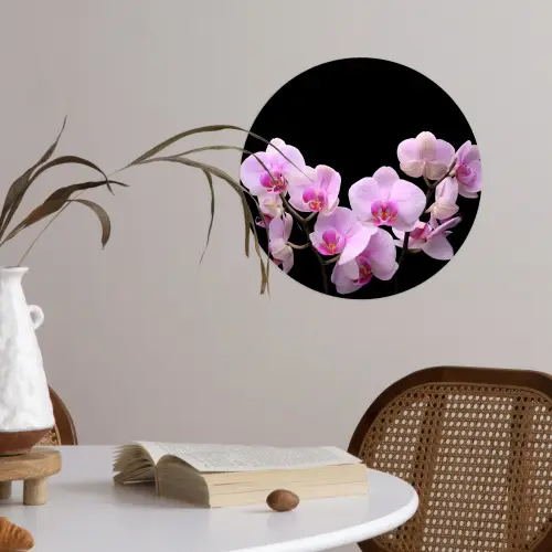Orchidee - Bloemen - Roze - Flora Wandcirkel behangsticker klein -sfeer3