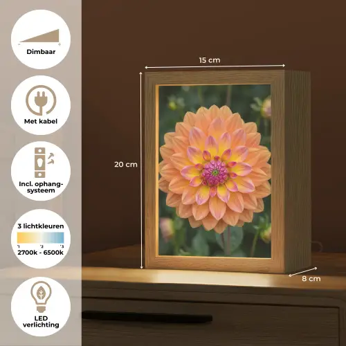 Dahlia - Bloem - Oranje Light Box met kabel (Tafellamp) klein -USP_NL